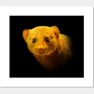 Dwarf mongoose Posters and Art